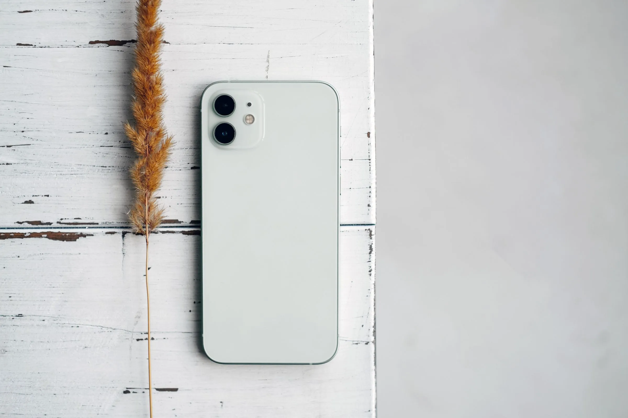 Back of a pale green smartphone on a white painted wooden board next to a dried grass stem.
