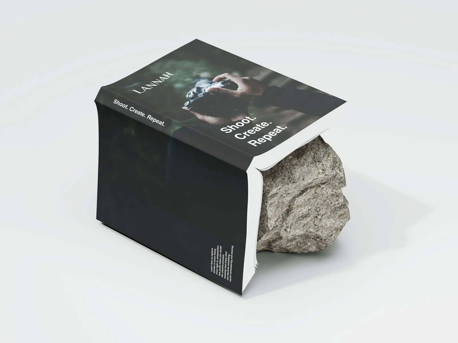 Dark Lannah box with the tagline "Shoot. Create. Repeat." wrapped around a rock.