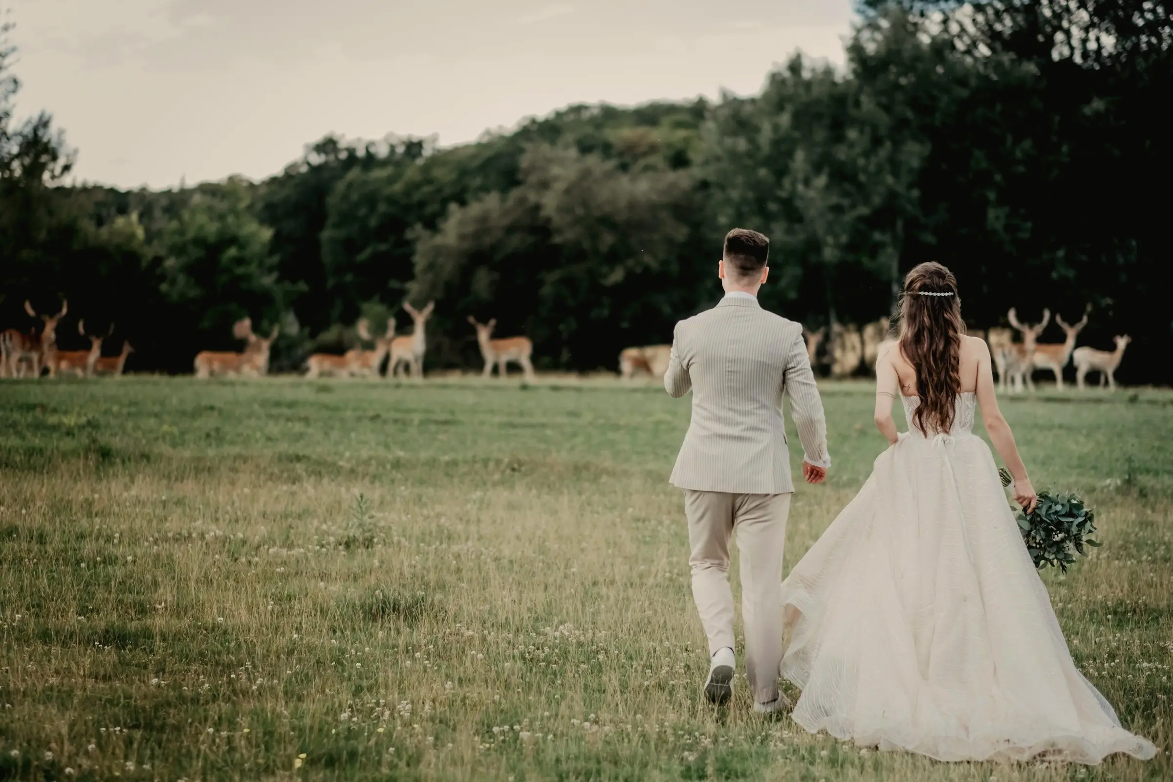 Bride and groom, seen from behind, walk across a meadow toward a herd of deer grazing at the forest edge.