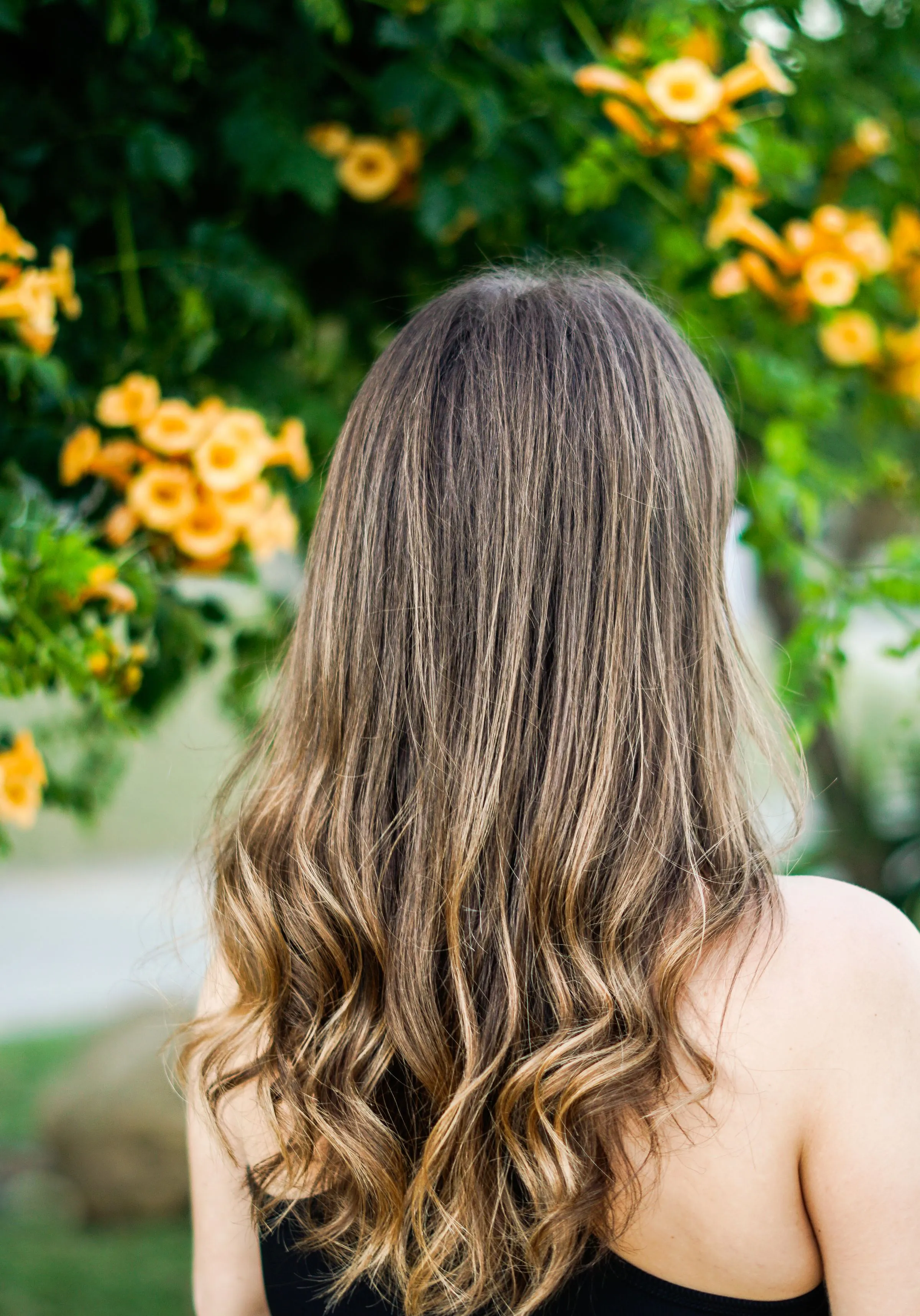 Long hair with a honey balayage and loose waves, seen from behind.